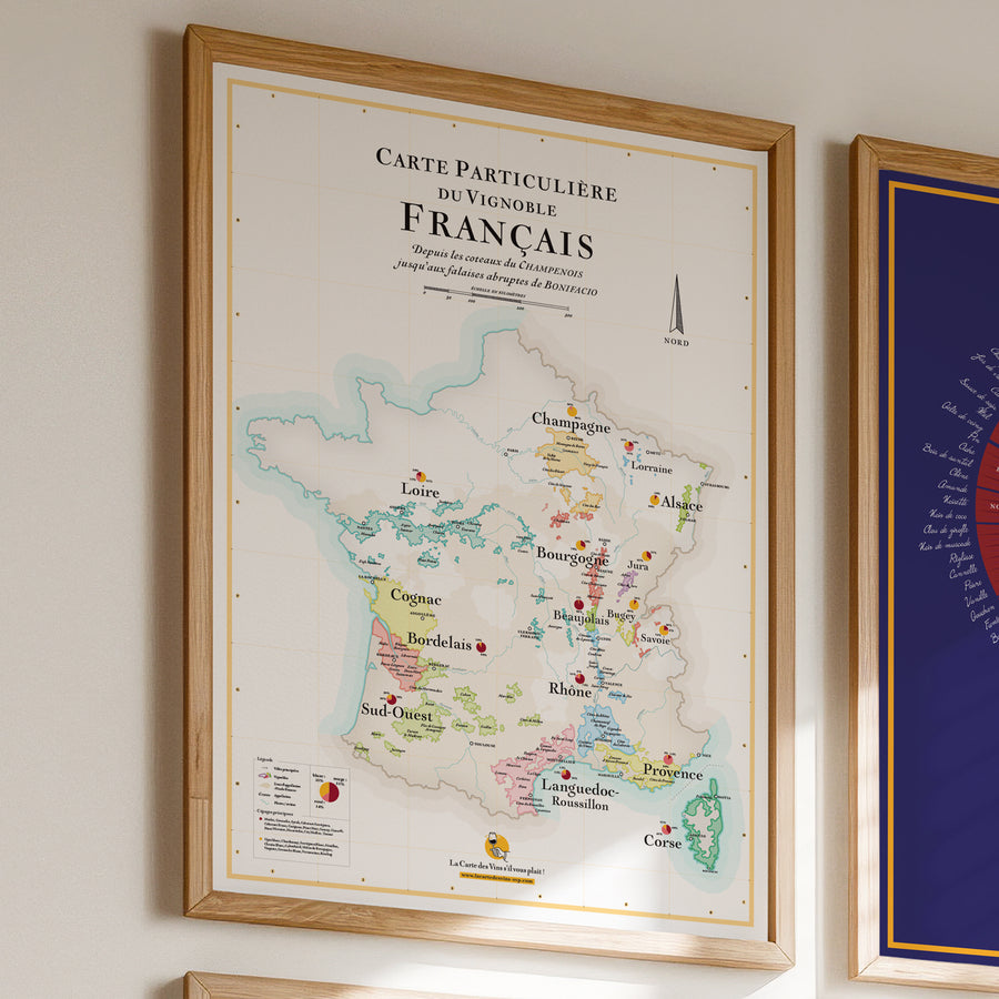 « Pack Sommelier » : France + Arômes du Vin + Robes du Vin + Cépages (50x70cm)