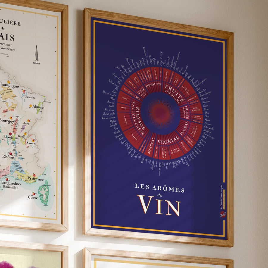 « Pack Sommelier » : France + Arômes du Vin + Robes du Vin + Cépages (50x70cm)