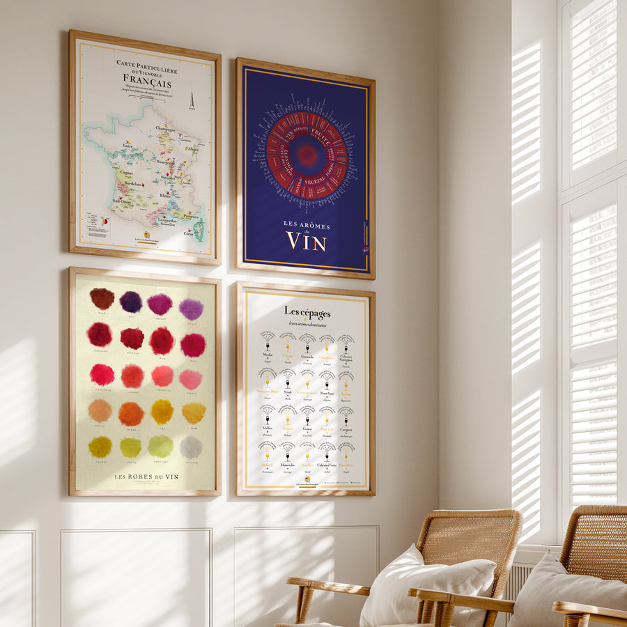 « Pack Sommelier » : France + Arômes du Vin + Robes du Vin + Cépages (50x70cm)